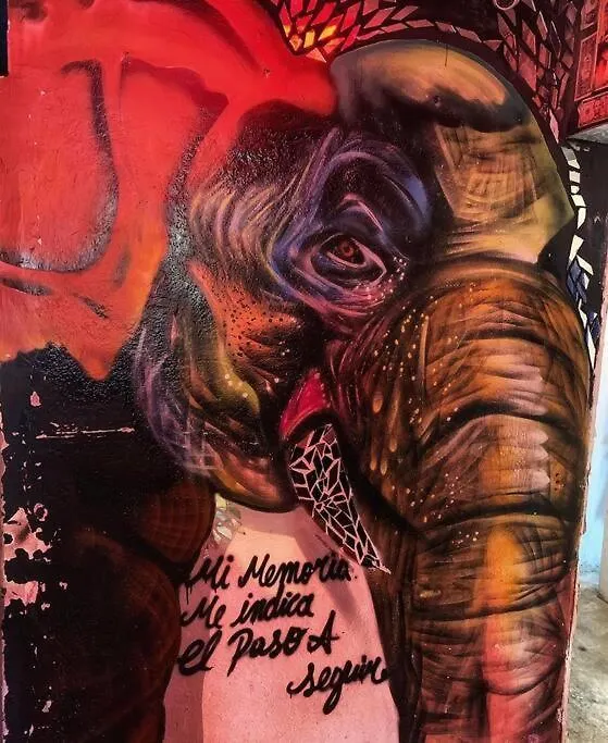 Apto Renovado 2 Hab A 6 Minutos Del Graffitour Medellin Colombia